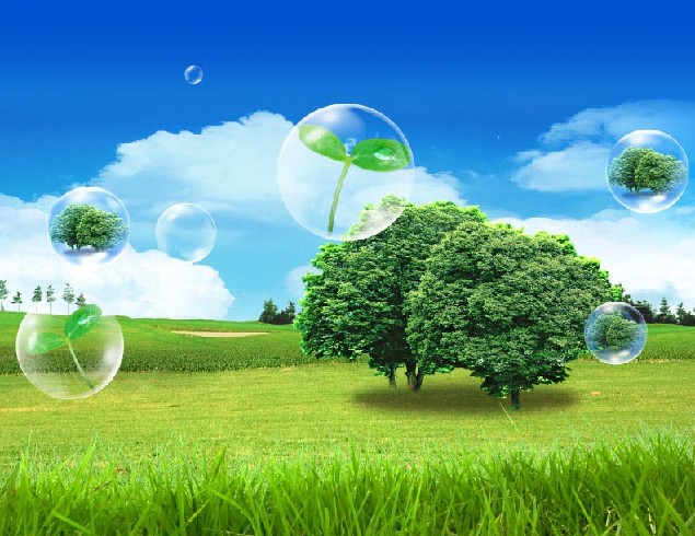 Environment and Sustainable Development
